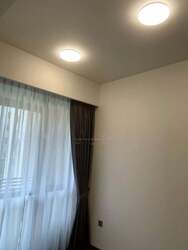 Leedon Green (D10), Condominium #576230971
